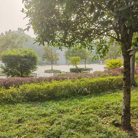 蛋糕店车间主任于2022-11-27 18:26发布的图片