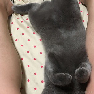 阿斯蒂芬干活于2020-09-10 15:42发布的图片