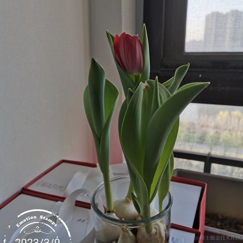 老柴不加班于2023-03-09 13:35发布的图片