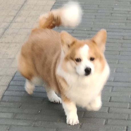 急性子伤我心于2023-06-23 00:59发布的图片