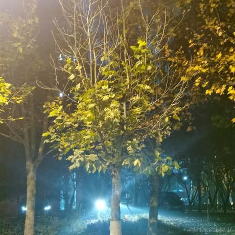 chewing于2022-11-17 15:20发布的图片