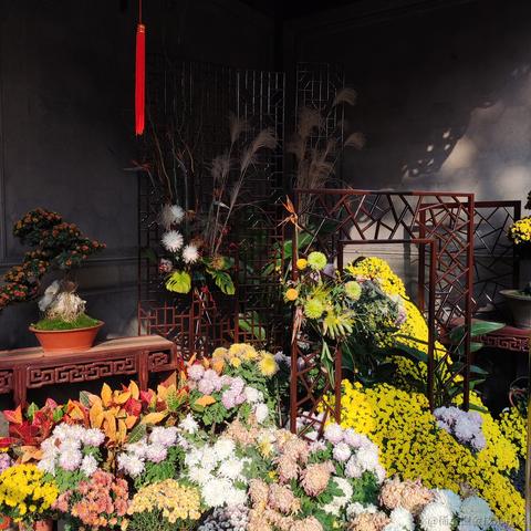 优秀稳妥的金枪小魔王于2023-11-28 11:00发布的图片