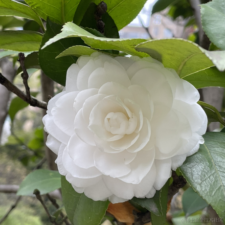 清欢爱蹦跶于2022-04-16 08:05发布的图片