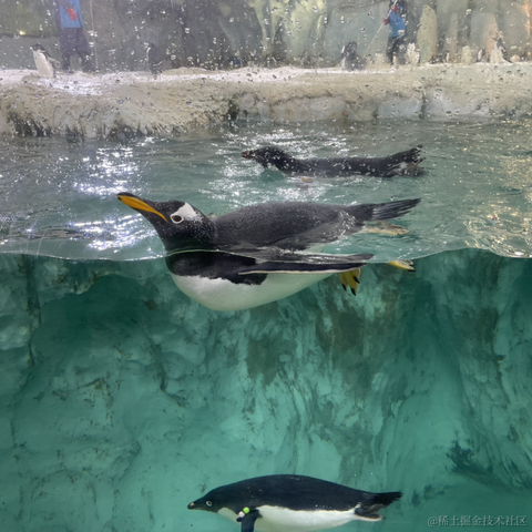 我是个靓崽于2023-04-23 22:39发布的图片