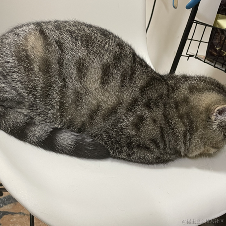 heronCCC于2022-11-26 11:49发布的图片