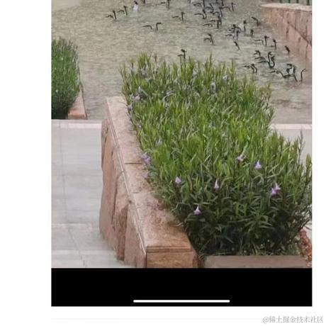 一点一木于2023-09-08 10:03发布的图片