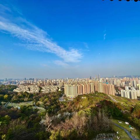上东我锐仔于2023-03-15 01:09发布的图片
