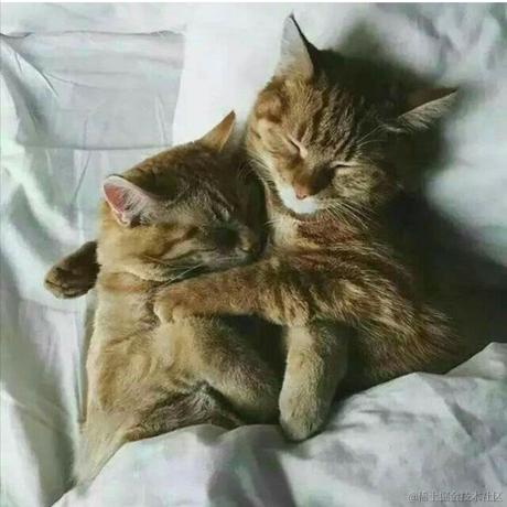 木瓜煲鸡脚于2020-12-31 10:22发布的图片