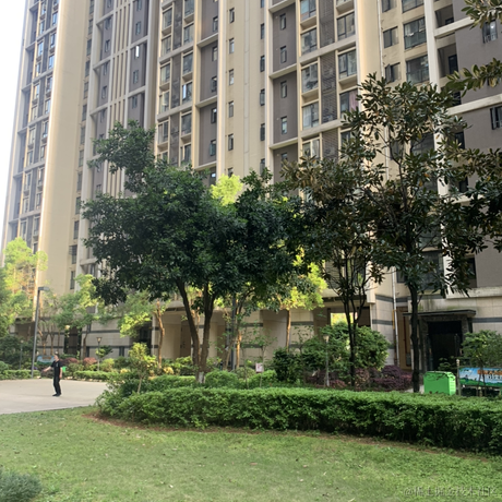 情不知所起一往而深深于2022-04-07 18:07发布的图片