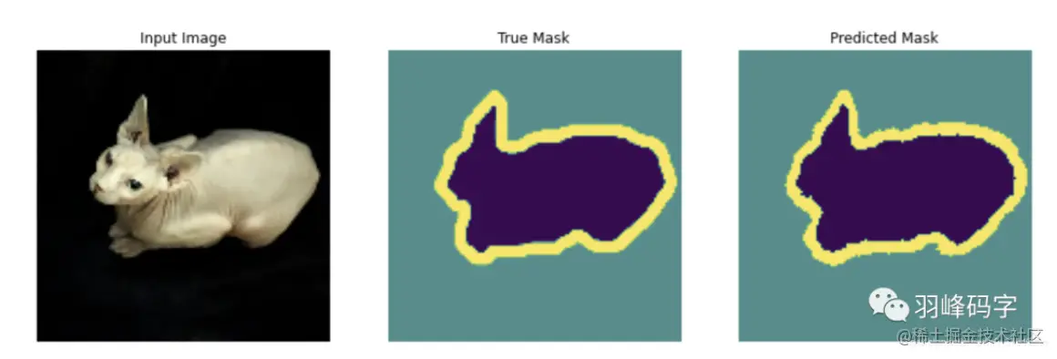 屏幕快照 2021-05-21 下午8.46.59.png