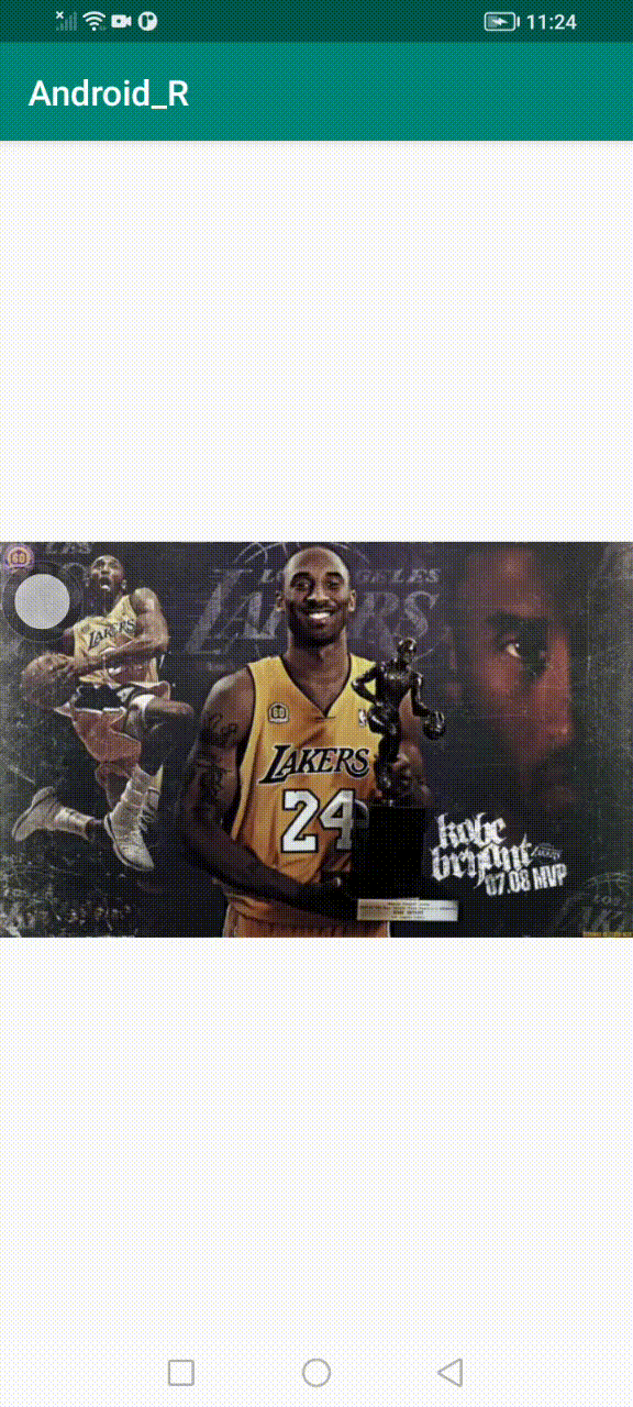 SVID_20240204_112403_1.gif