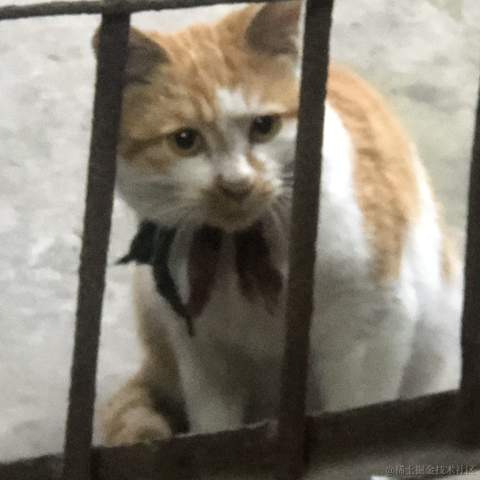 乃琳我的完美老婆于2022-11-29 17:25发布的图片