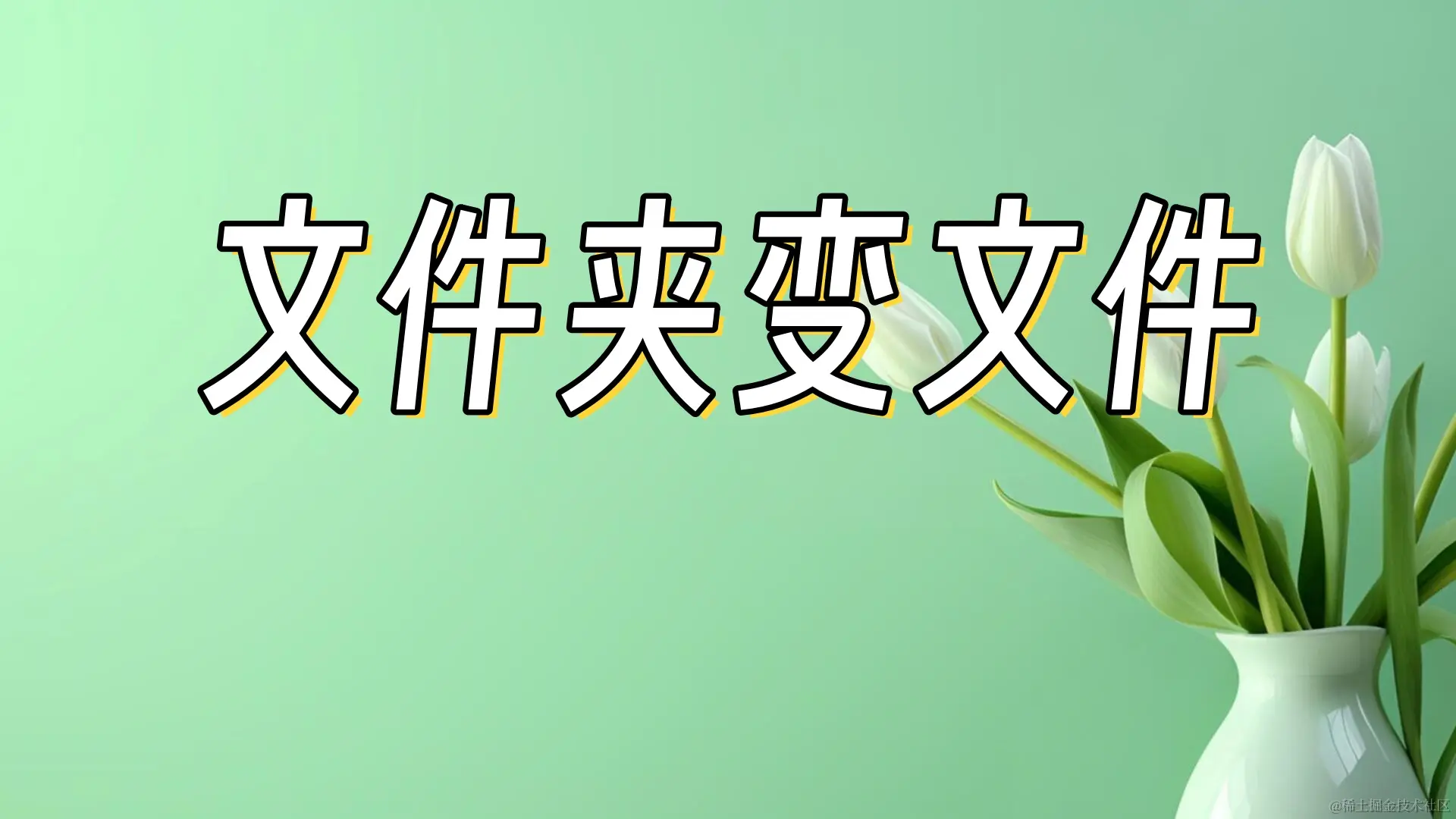 行车记录仪文件夹变0字节