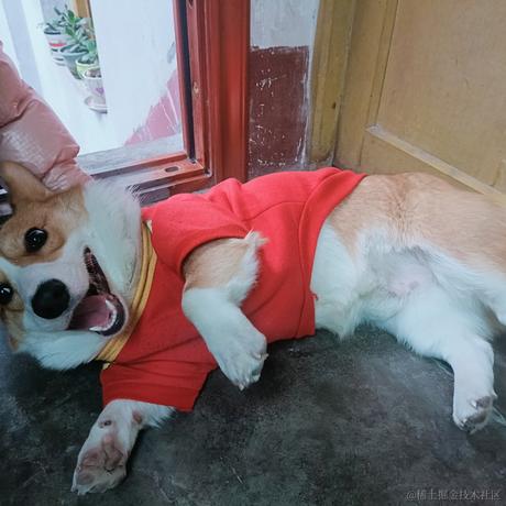 MiRuMo于2022-11-21 23:20发布的图片