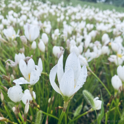 摄氏40度于2021-09-14 10:56发布的图片