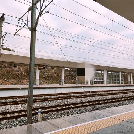凌川于2023-01-27 07:36发布的图片