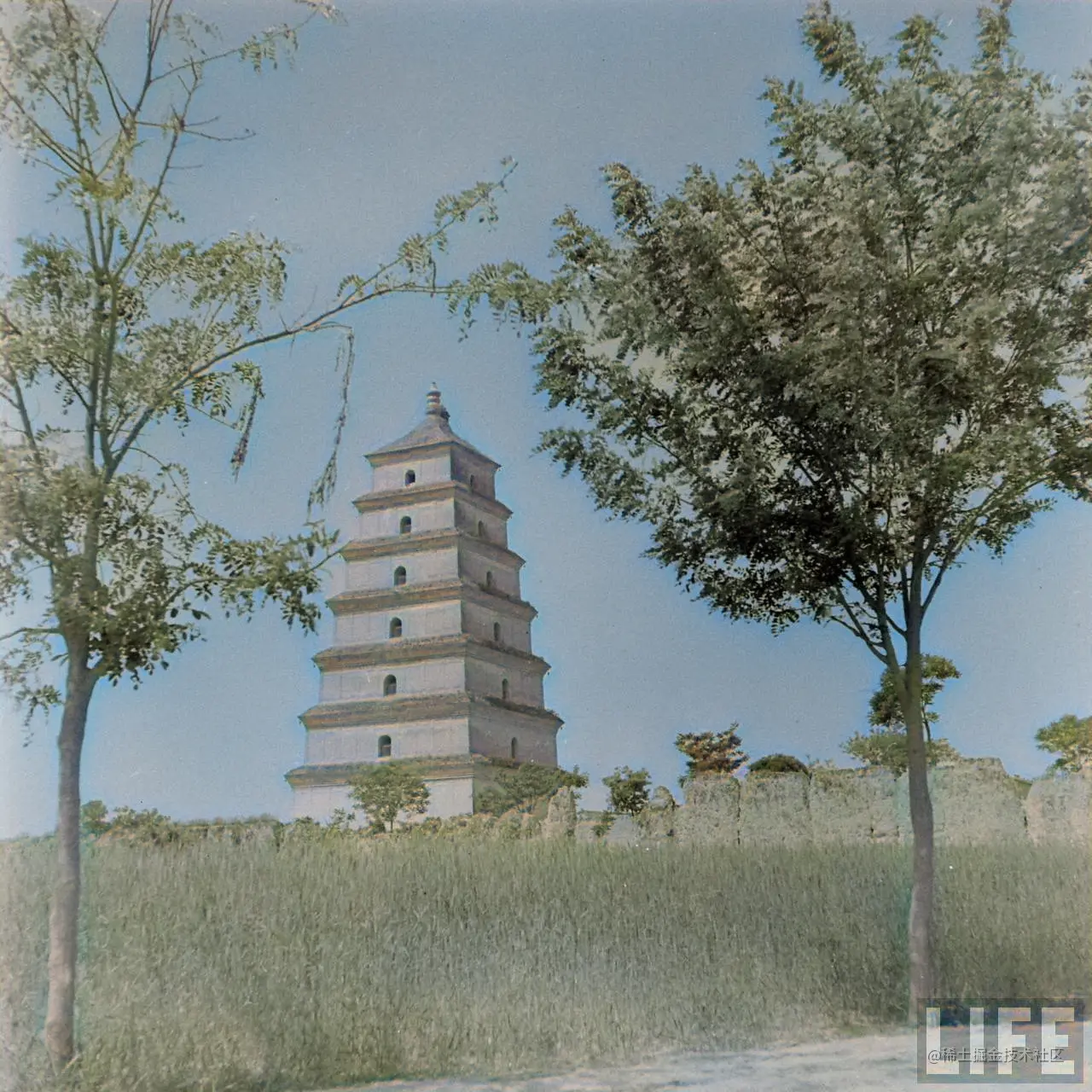 1947年，陕西西安。大雁塔。3.png