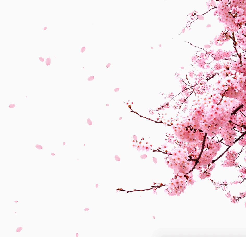 Kapture 2022-05-07 at 10.55.33.gif