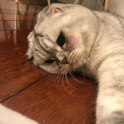 小蝴蝶于2020-08-10 15:13发布的图片