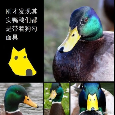 codeniu于2022-08-19 22:25发布的图片