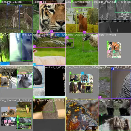 高精度动物园动物检测识别系统5077.png