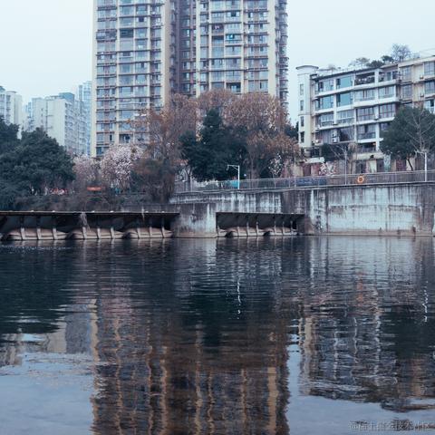 sakana于2024-04-28 14:38发布的图片