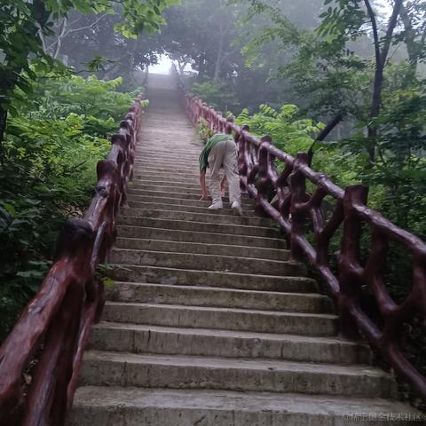 冷月半明于2023-07-28 23:01发布的图片