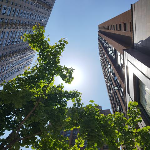 枝江小区第一寒冰于2023-06-30 18:34发布的图片