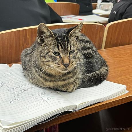 netfix于2022-12-02 08:45发布的图片