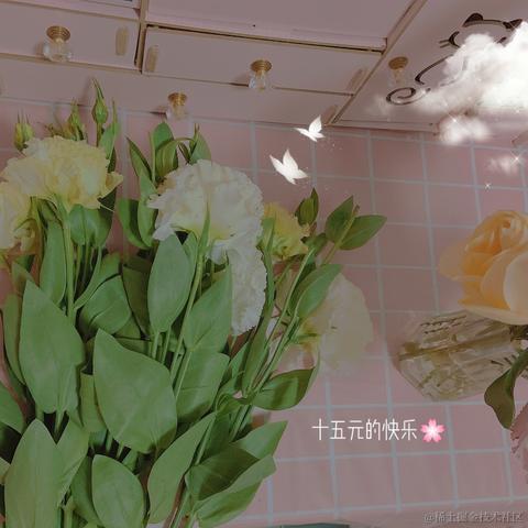已注销于2021-01-14 20:11发布的图片