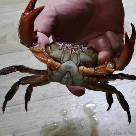 已注销于2022-03-19 08:15发布的图片