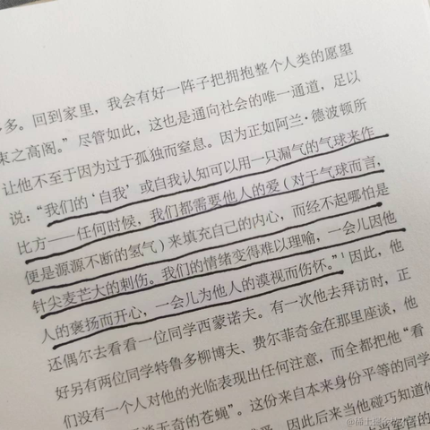 LucasWixx于2023-04-20 09:24发布的图片
