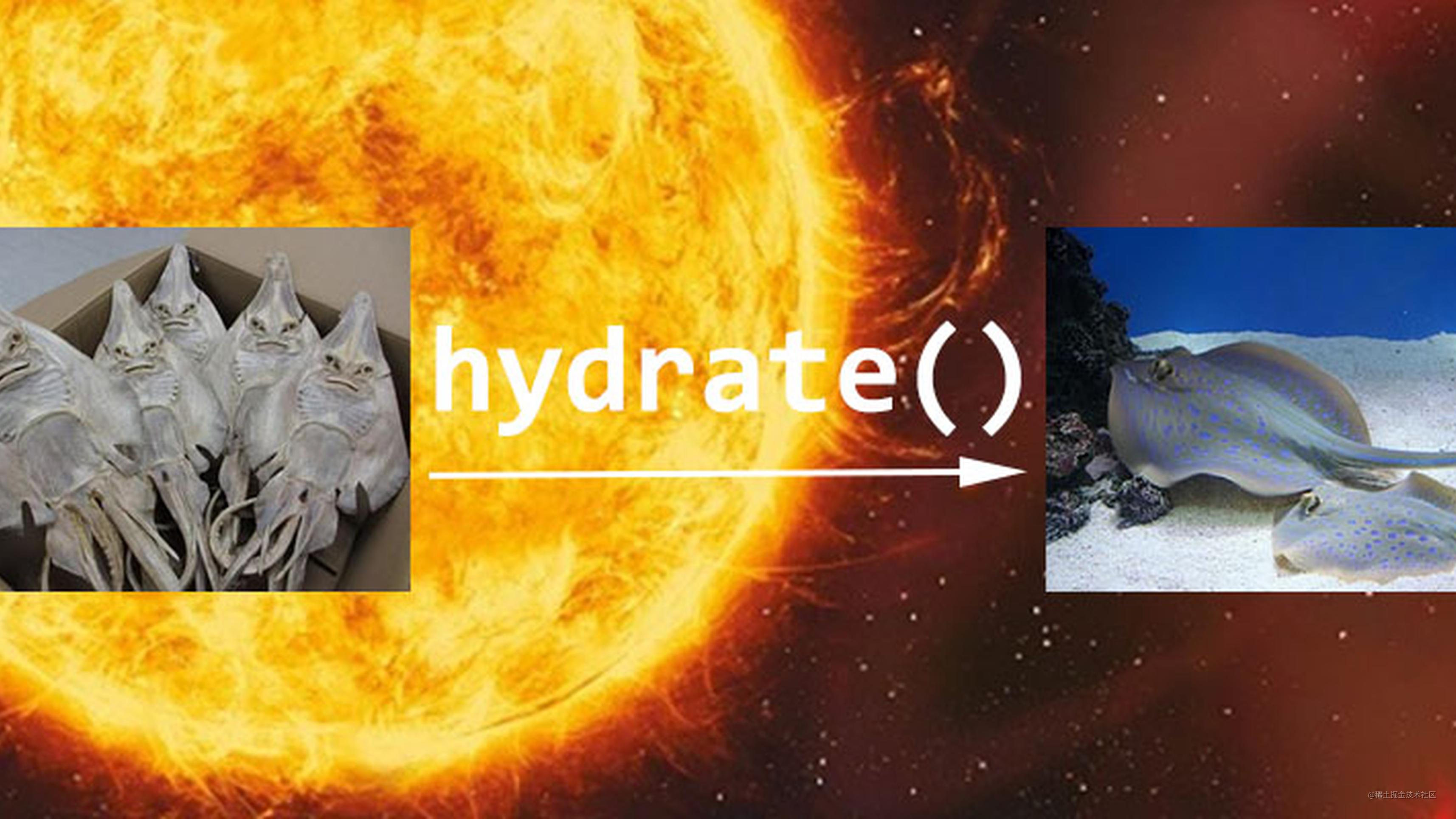 如何理解SSR的hydrate过程？
