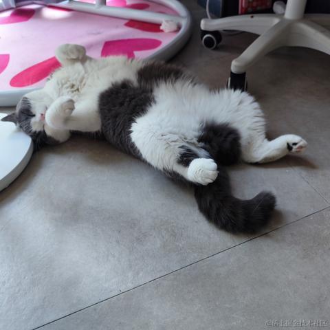 未季言于2022-10-01 17:39发布的图片