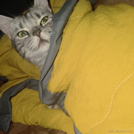 不适合前端的前端于2021-10-28 11:01发布的图片