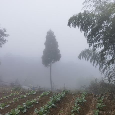 Aoueyuv于2022-11-19 15:30发布的图片