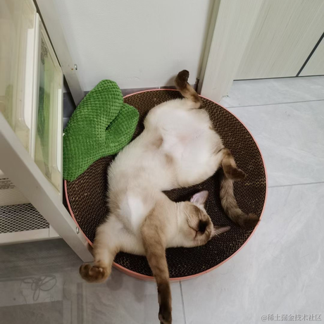 近战仙师于2022-08-30 21:54发布的图片