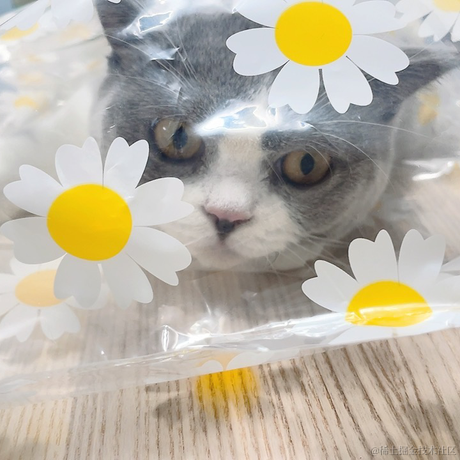 白茶清欢无别事o于2021-09-03 11:14发布的图片