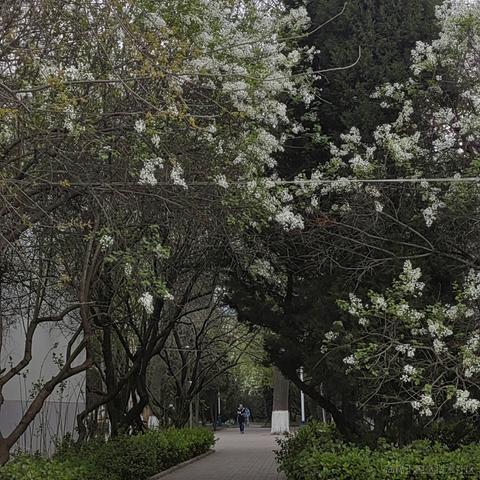 Leglor于2023-04-13 18:37发布的图片