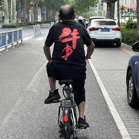 躺平的渣娃于2023-07-23 09:41发布的图片