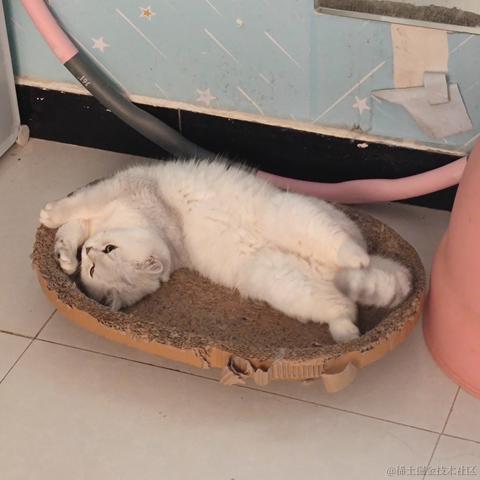 老边于2022-11-15 12:14发布的图片