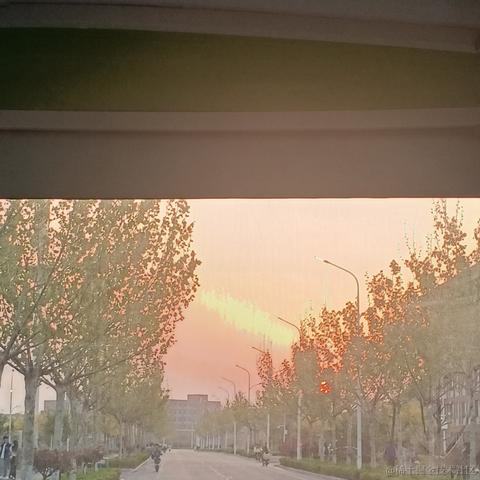 爱璀璨于2023-04-09 09:55发布的图片