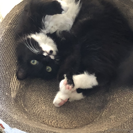 AilsaGao于2022-11-24 19:23发布的图片