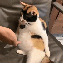 jayjay于2022-08-29 17:31发布的图片