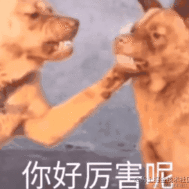 G_bug于2022-11-02 08:24发布的图片