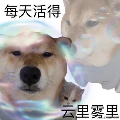 张_大_炮于2023-10-21 08:18发布的图片