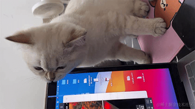 业余做个Flutter项目-HelloVicent