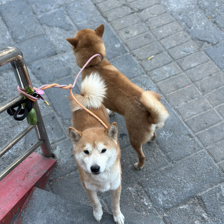 旧事随风于2023-02-28 09:01发布的图片