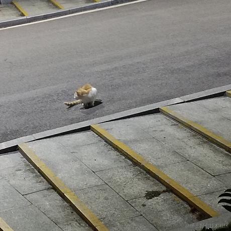 仝兀谙亓于2022-12-13 22:34发布的图片