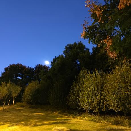 一依不舍于2022-10-25 22:57发布的图片